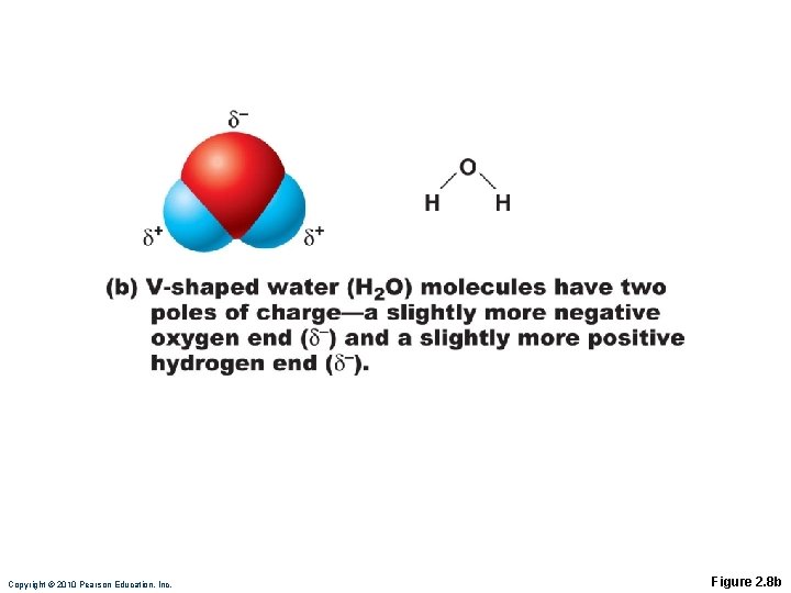 Copyright © 2010 Pearson Education, Inc. Figure 2. 8 b 