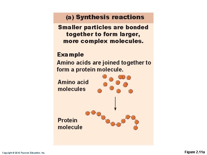 (a) Synthesis reactions Smaller particles are bonded together to form larger, more complex molecules.