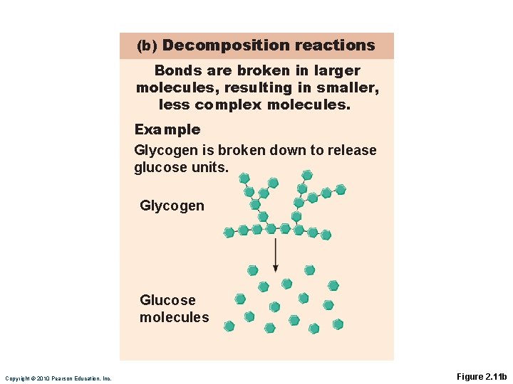 (b) Decomposition reactions Bonds are broken in larger molecules, resulting in smaller, less complex
