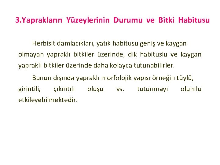 3. Yaprakların Yüzeylerinin Durumu ve Bitki Habitusu Herbisit damlacıkları, yatık habitusu geniş ve kaygan