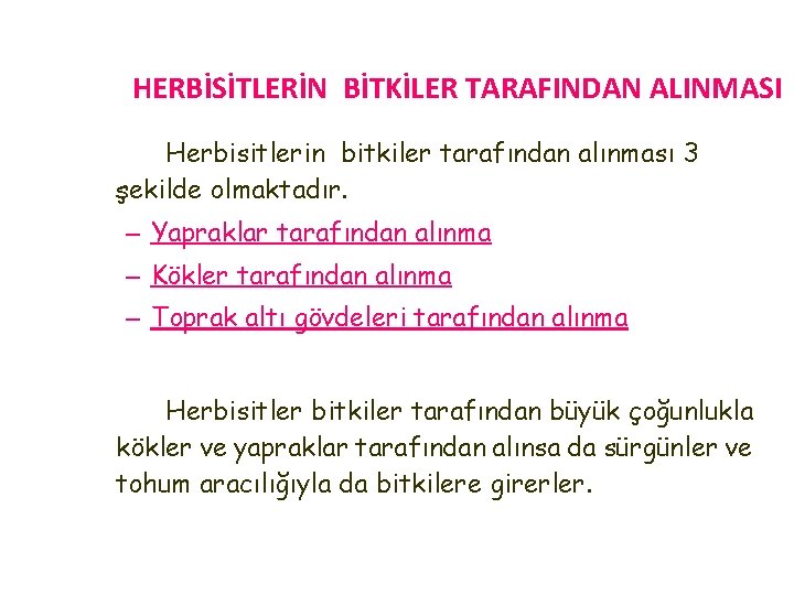 HERBİSİTLERİN BİTKİLER TARAFINDAN ALINMASI Herbisitlerin bitkiler tarafından alınması 3 şekilde olmaktadır. – Yapraklar tarafından