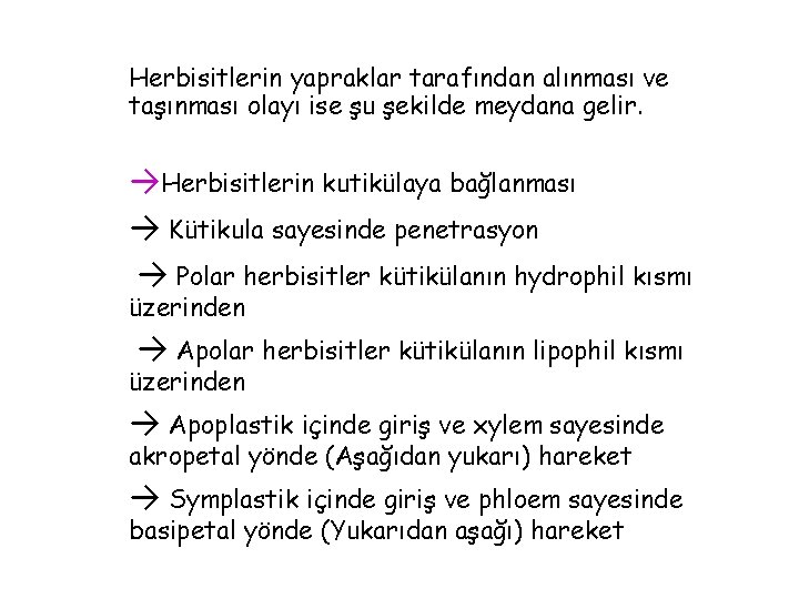 Herbisitlerin yapraklar tarafından alınması ve taşınması olayı ise şu şekilde meydana gelir. →Herbisitlerin kutikülaya