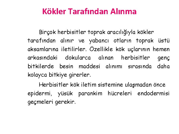 Kökler Tarafından Alınma Birçok herbisitler toprak aracılığıyla kökler tarafından alınır ve yabancı otların toprak