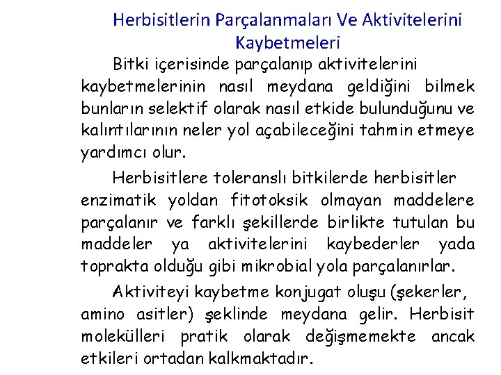 Herbisitlerin Parçalanmaları Ve Aktivitelerini Kaybetmeleri Bitki içerisinde parçalanıp aktivitelerini kaybetmelerinin nasıl meydana geldiğini bilmek