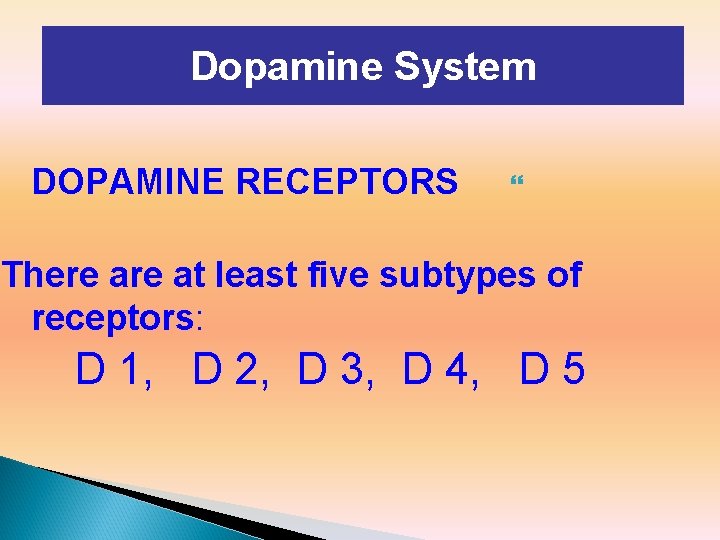 Dopamine System DOPAMINE RECEPTORS There at least five subtypes of receptors: D 1, D