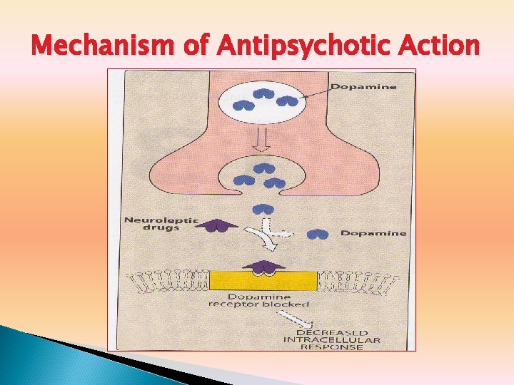 Mechanism of Antipsychotic Action 