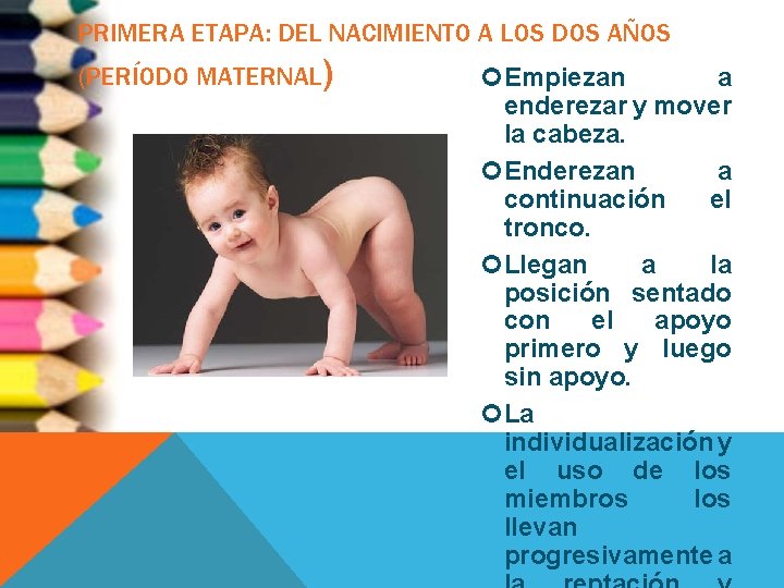 PRIMERA ETAPA: DEL NACIMIENTO A LOS DOS AÑOS (PERÍODO MATERNAL) Empiezan a enderezar y