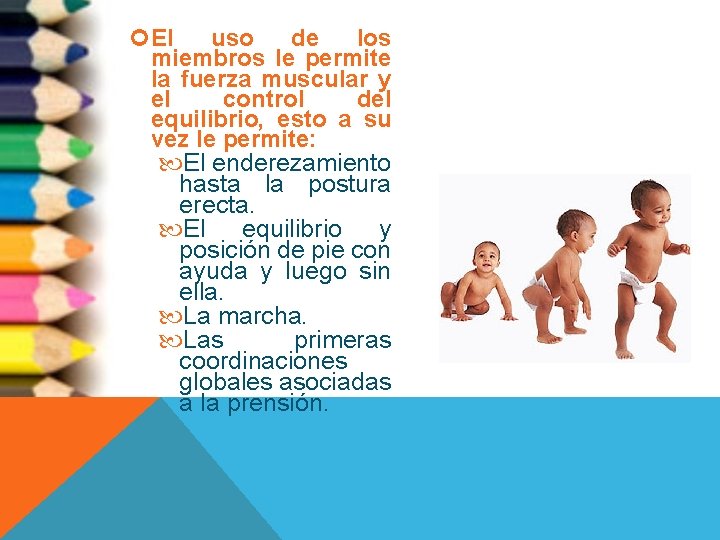  El uso de los miembros le permite la fuerza muscular y el control