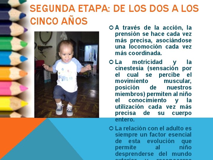 SEGUNDA ETAPA: DE LOS DOS A LOS CINCO AÑOS A través de la acción,