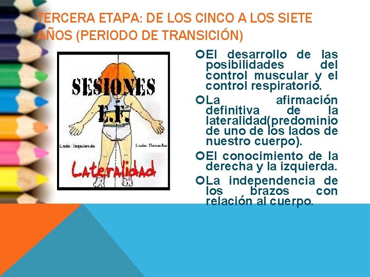 TERCERA ETAPA: DE LOS CINCO A LOS SIETE AÑOS (PERIODO DE TRANSICIÓN) El desarrollo