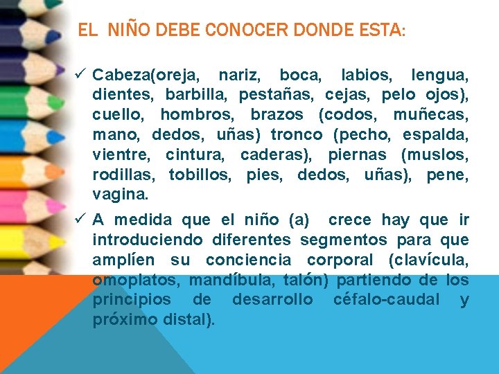 EL NIÑO DEBE CONOCER DONDE ESTA: ü Cabeza(oreja, nariz, boca, labios, lengua, dientes, barbilla,