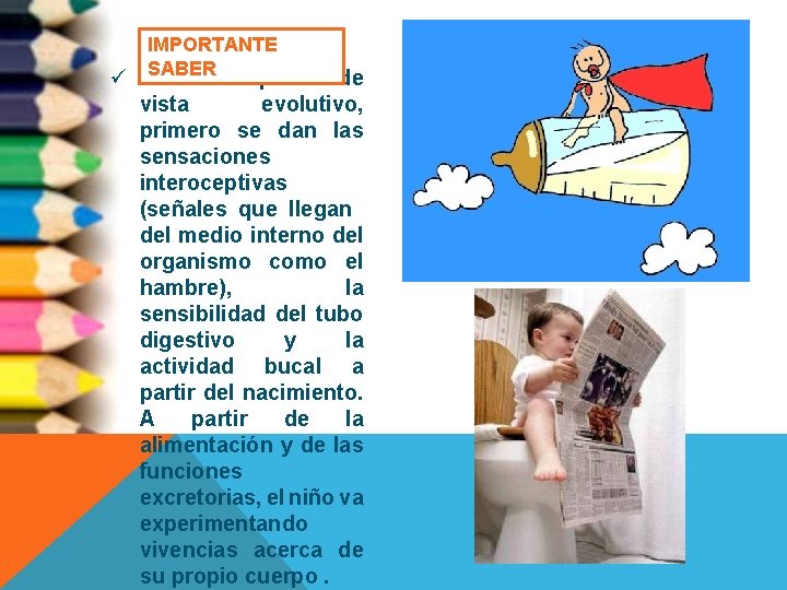 IMPORTANTE SABER el punto de ü Desde vista evolutivo, primero se dan las sensaciones
