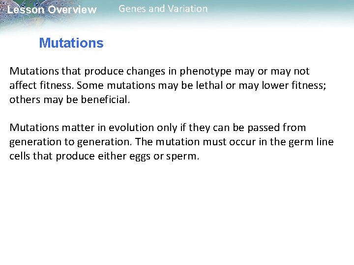 Lesson Overview Genes and Variation Mutations that produce changes in phenotype may or may