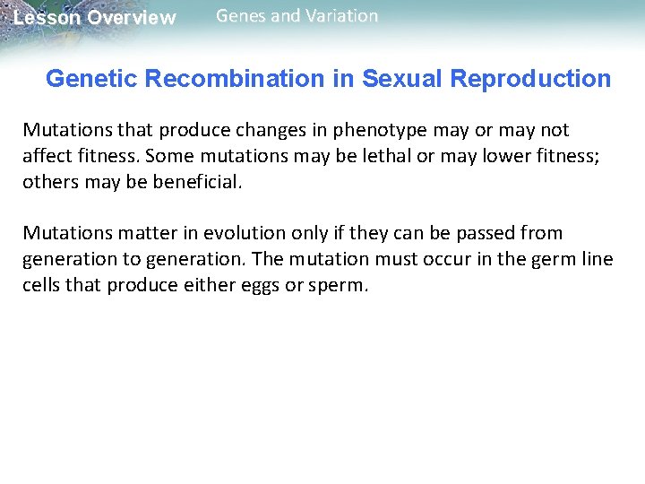 Lesson Overview Genes and Variation Genetic Recombination in Sexual Reproduction Mutations that produce changes