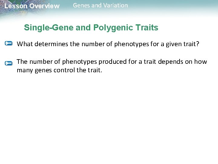 Lesson Overview Genes and Variation Single-Gene and Polygenic Traits What determines the number of