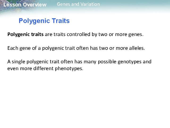 Lesson Overview Genes and Variation Polygenic Traits Polygenic traits are traits controlled by two