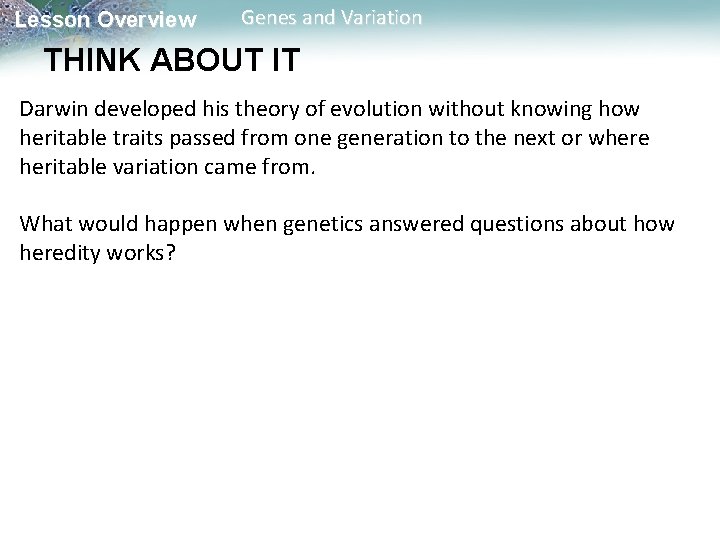 Lesson Overview Genes and Variation THINK ABOUT IT Darwin developed his theory of evolution