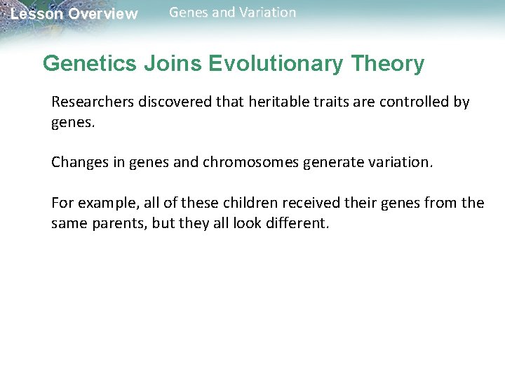 Lesson Overview Genes and Variation Genetics Joins Evolutionary Theory Researchers discovered that heritable traits