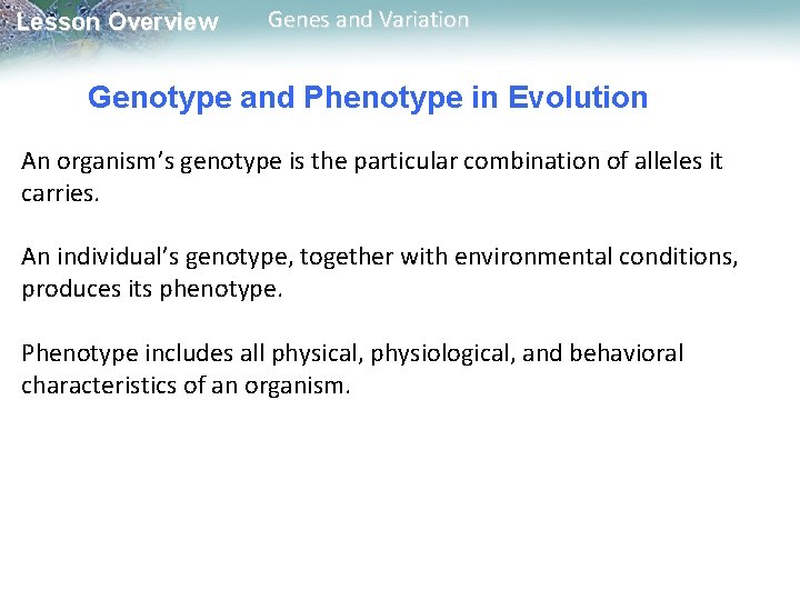 Lesson Overview Genes and Variation Genotype and Phenotype in Evolution An organism’s genotype is