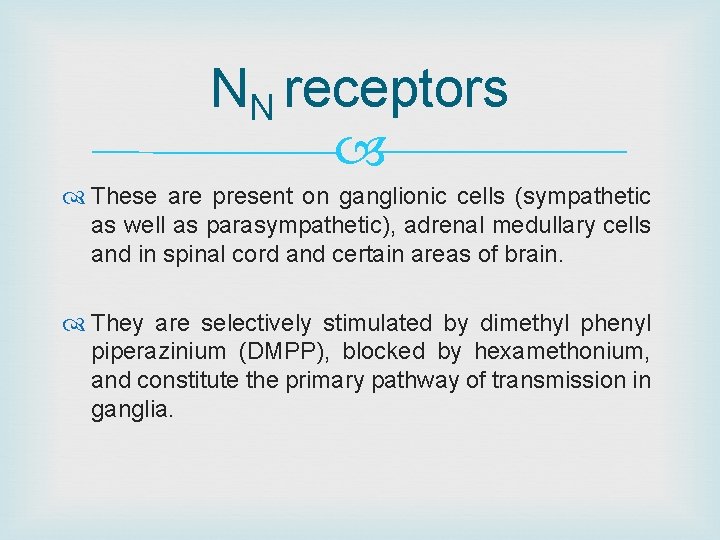 NN receptors These are present on ganglionic cells (sympathetic as well as parasympathetic), adrenal