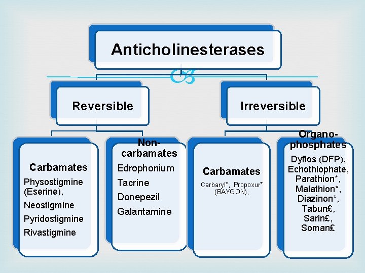 Anticholinesterases Reversible Irreversible Organophosphates Noncarbamates Carbamates Physostigmine (Eserine), Neostigmine Pyridostigmine Rivastigmine Edrophonium Tacrine Donepezil