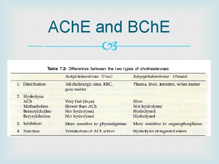 ACh. E and BCh. E 