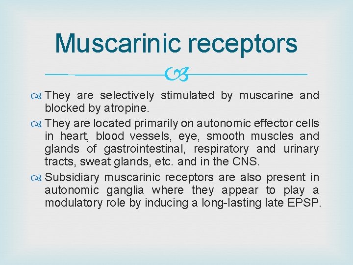 Muscarinic receptors They are selectively stimulated by muscarine and blocked by atropine. They are