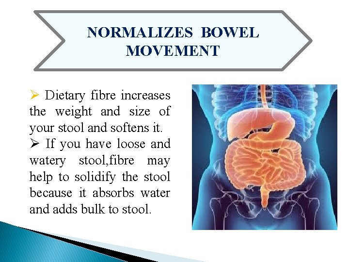 NORMALIZES BOWEL MOVEMENT Ø Dietary fibre increases the weight and size of your stool