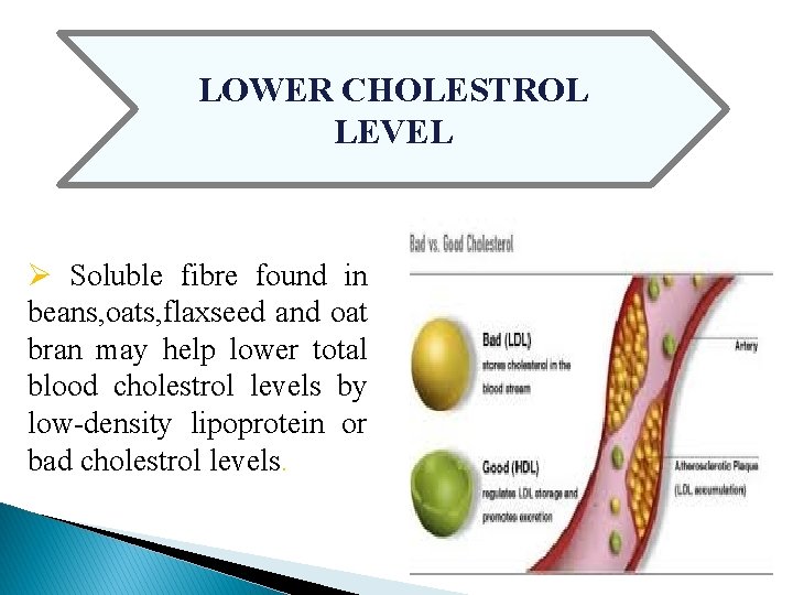 LOWER CHOLESTROL LEVEL Ø Soluble fibre found in beans, oats, flaxseed and oat bran