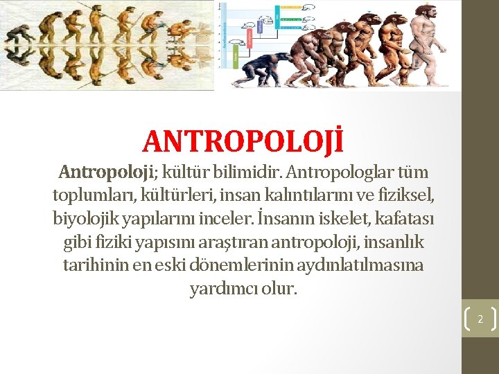 ANTROPOLOJİ Antropoloji; kültür bilimidir. Antropologlar tüm toplumları, kültürleri, insan kalıntılarını ve fiziksel, biyolojik yapılarını