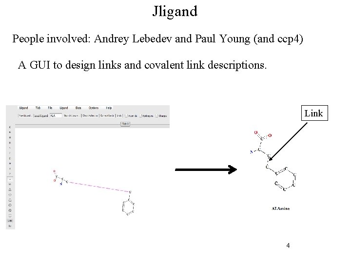 Jligand People involved: Andrey Lebedev and Paul Young (and ccp 4) A GUI to