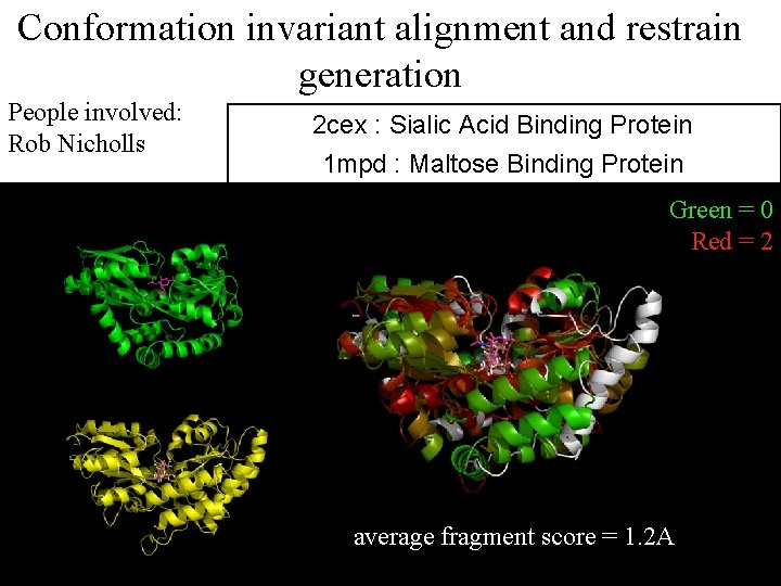 Conformation invariant alignment and restrain generation People involved: Rob Nicholls 2 cex : Sialic