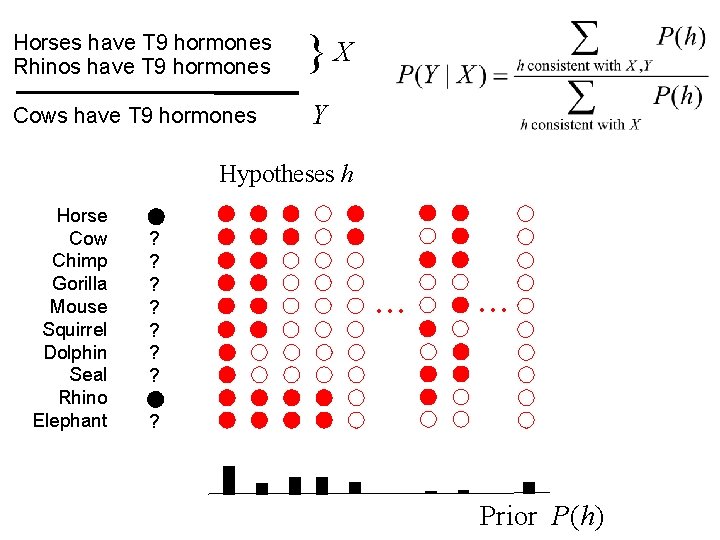 Horses have T 9 hormones Rhinos have T 9 hormones Cows have T 9