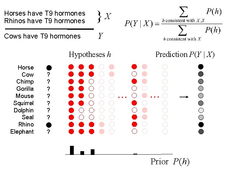 Horses have T 9 hormones Rhinos have T 9 hormones Cows have T 9