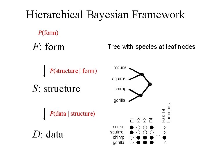 Hierarchical Bayesian Framework P(form) F: form P(structure | form) Tree with species at leaf