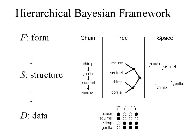 Hierarchical Bayesian Framework F: form S: structure Chain Tree chimp mouse gorilla squirrel chimp