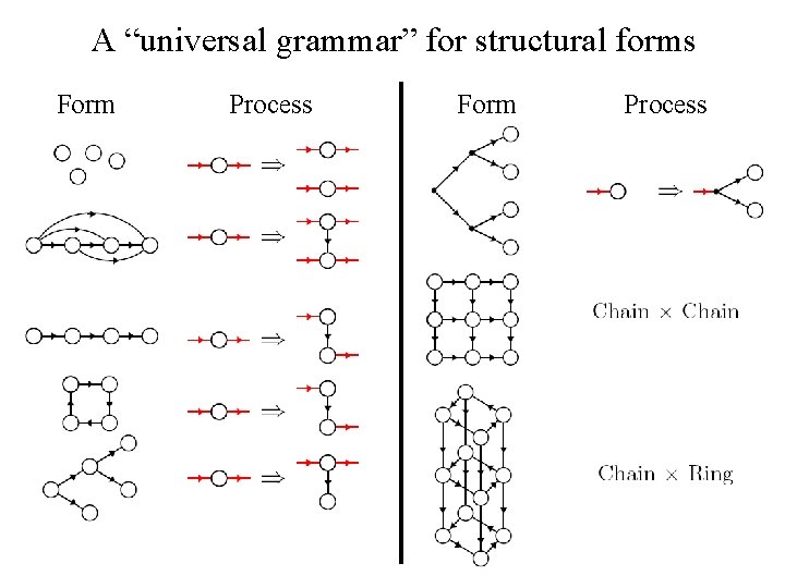 A “universal grammar” for structural forms Form Process 