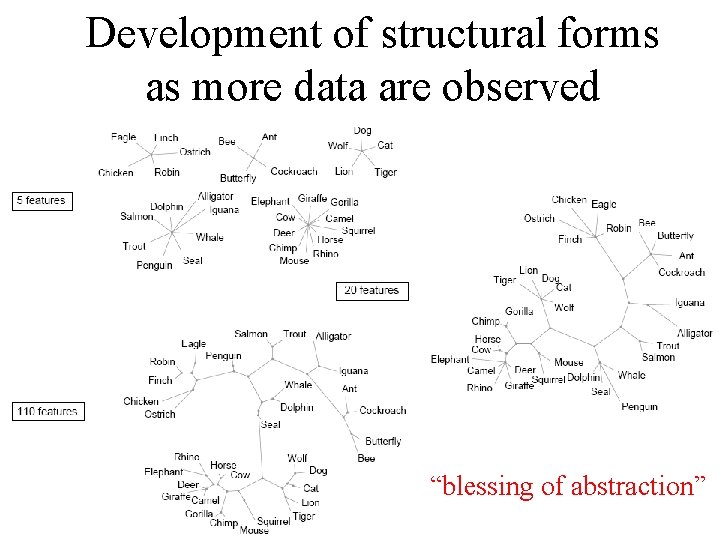 Development of structural forms as more data are observed “blessing of abstraction” 