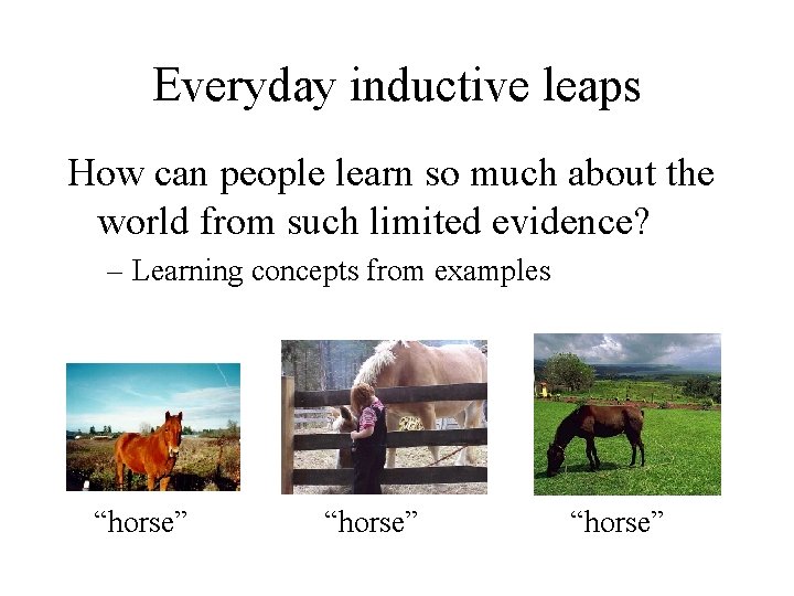 Everyday inductive leaps How can people learn so much about the world from such