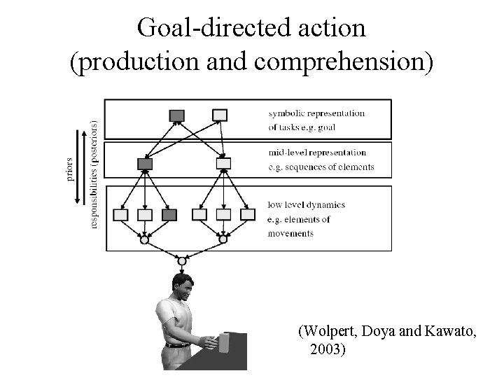 Goal-directed action (production and comprehension) (Wolpert, Doya and Kawato, 2003) 