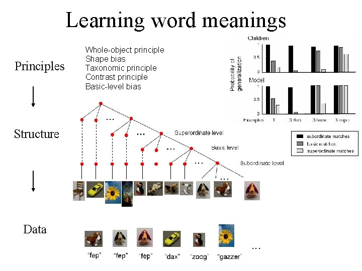 Learning word meanings Principles Structure Data Whole-object principle Shape bias Taxonomic principle Contrast principle