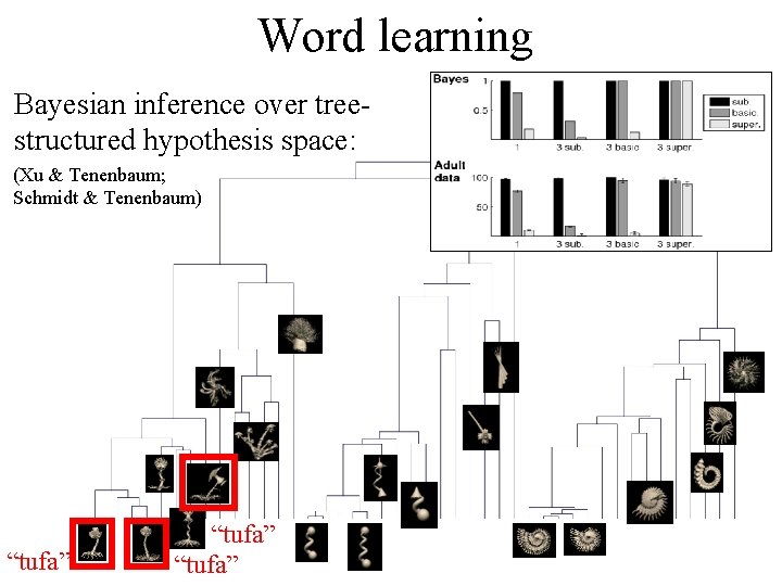 Word learning Bayesian inference over treestructured hypothesis space: (Xu & Tenenbaum; Schmidt & Tenenbaum)