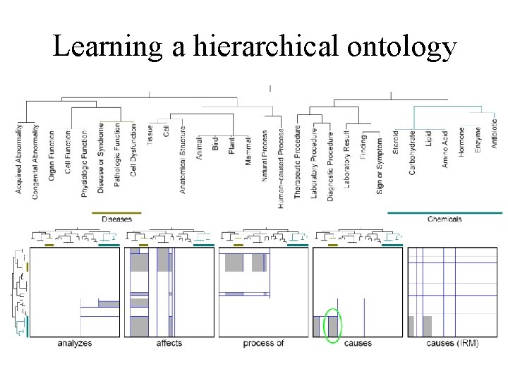 Learning a hierarchical ontology 