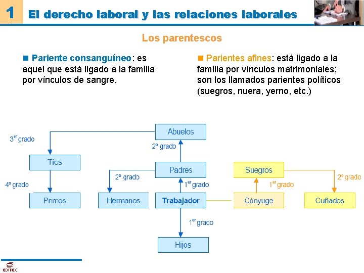 1 El derecho laboral y las relaciones laborales Los parentescos Pariente consanguíneo: es aquel