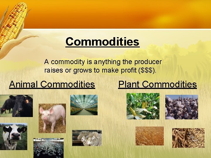Commodities A commodity is anything the producer raises or grows to make profit ($$$).