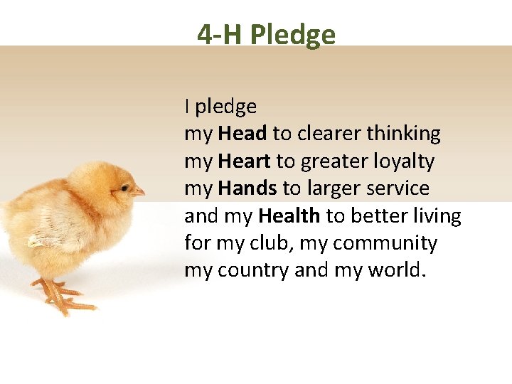 4 -H Pledge I pledge my Head to clearer thinking my Heart to greater