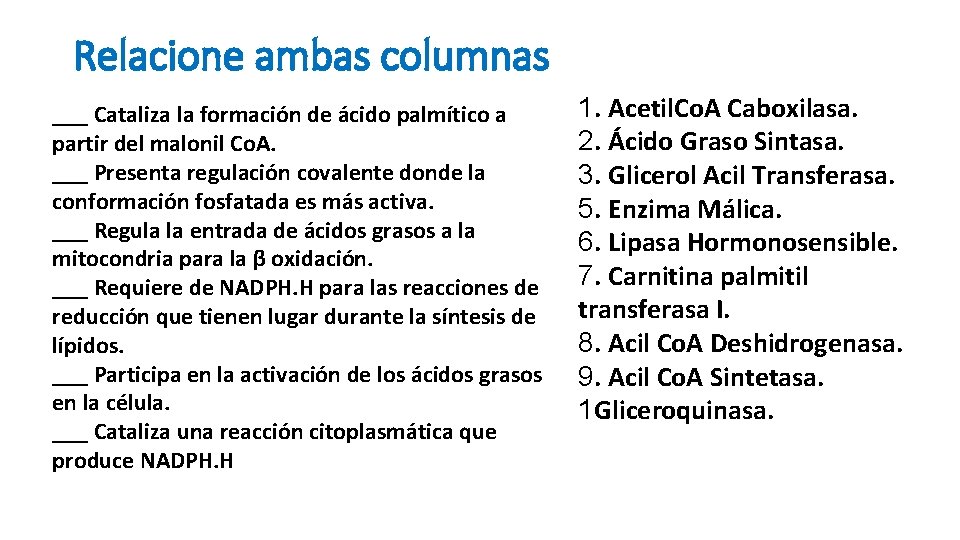 Relacione ambas columnas ___ Cataliza la formación de ácido palmítico a partir del malonil