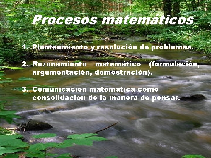 Procesos matemáticos 1. Planteamiento y resolución de problemas. 2. Razonamiento matemático (formulación, argumentación, demostración).