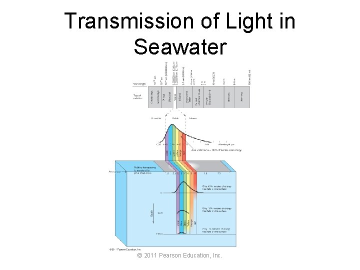 Transmission of Light in Seawater © 2011 Pearson Education, Inc. 