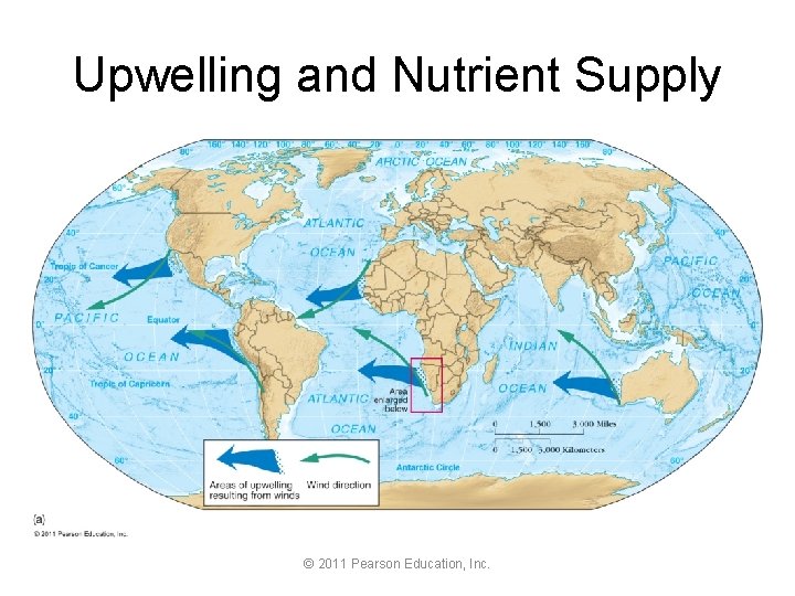 Upwelling and Nutrient Supply © 2011 Pearson Education, Inc. 